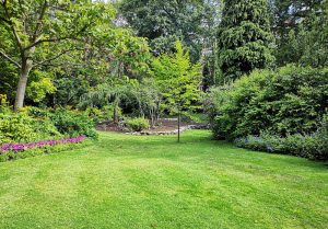 Optimiser l'expérience du jardin à Bezaumont